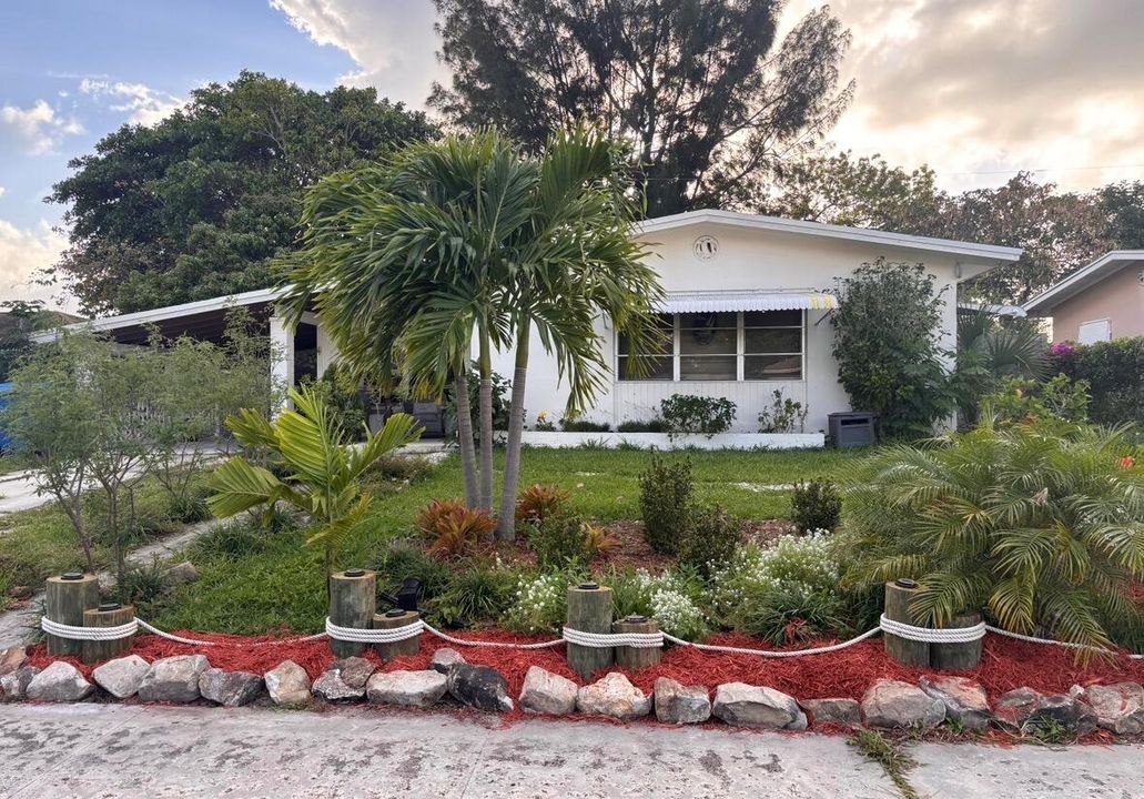 609 front garden 5