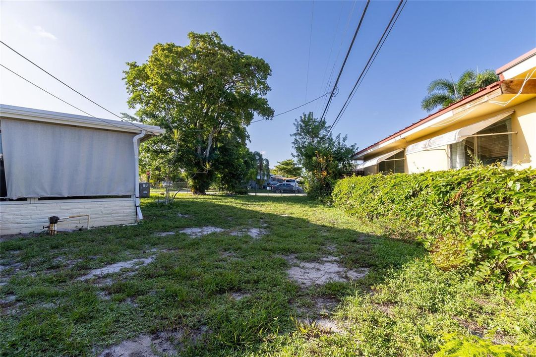 Expansive Back Yard