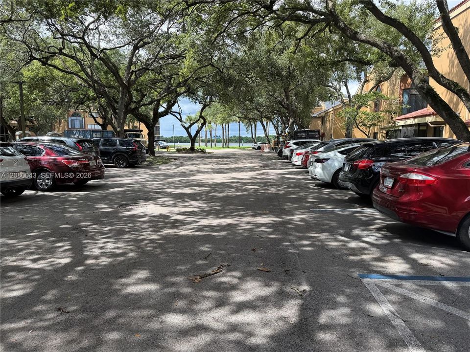 Ample tree canopied parking areas