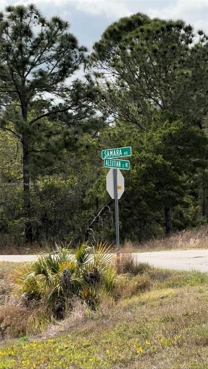 На продажу: $19,900 (0.26 acres)