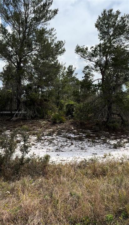 На продажу: $19,900 (0.26 acres)