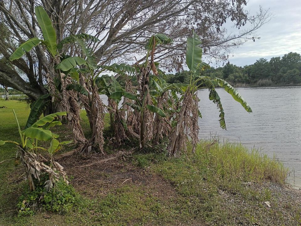 River