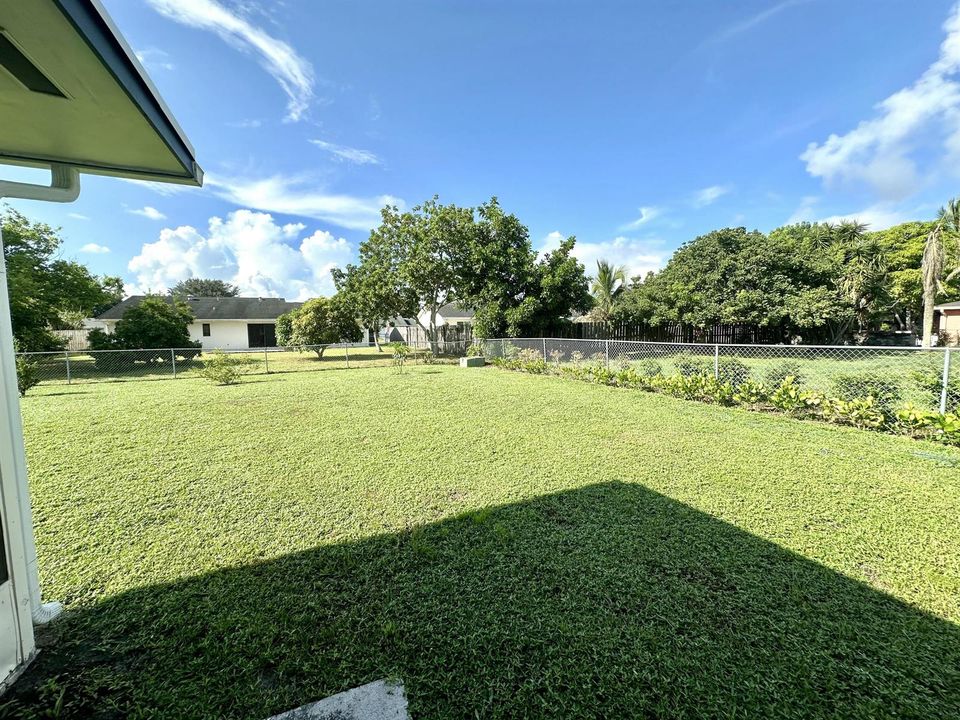 Backyard