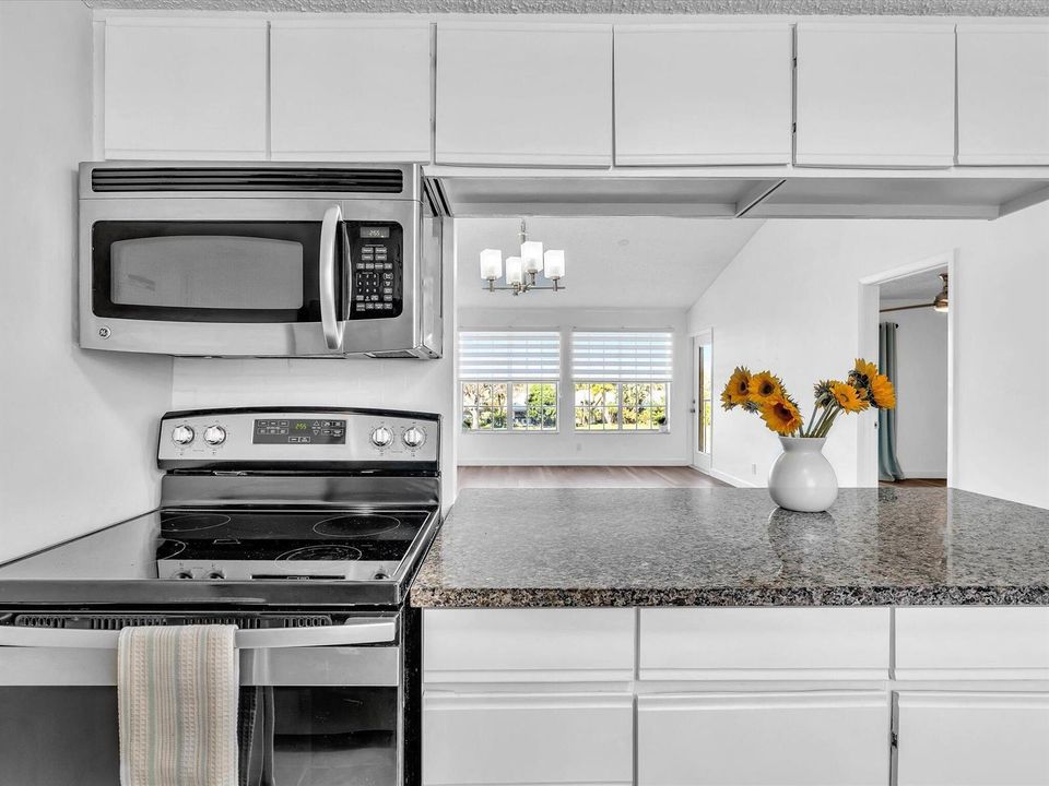 Microwave & Full Size Oven