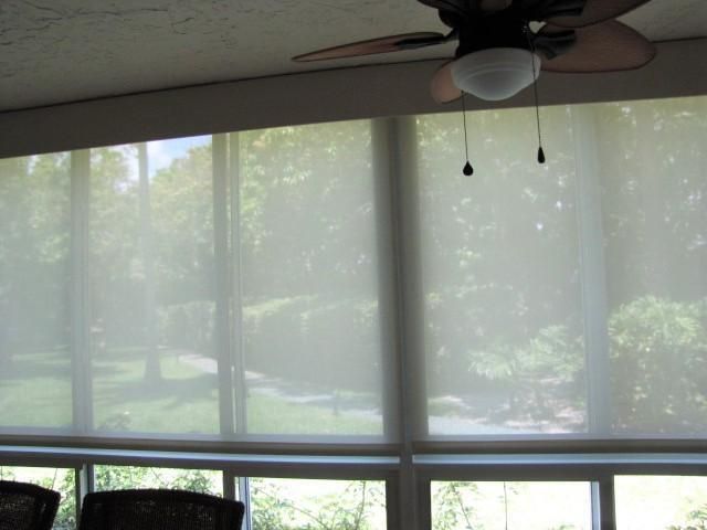 Privacy Blinds