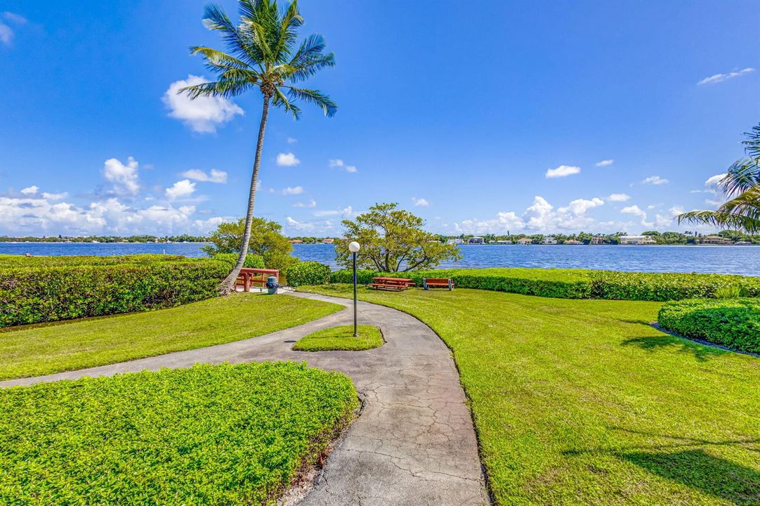 63-web-or-mls-5D1A2595