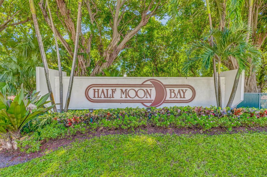 60-web-or-mls-5D1A2635