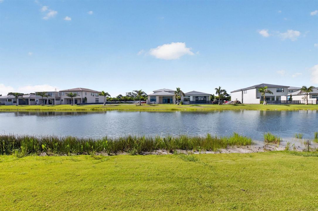 Lake view