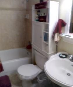 Guest bathroom