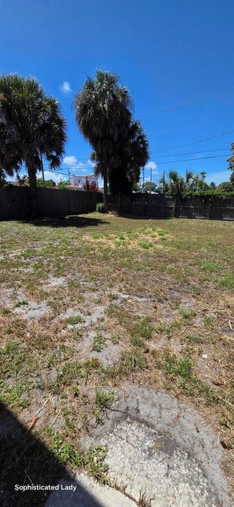Back yard