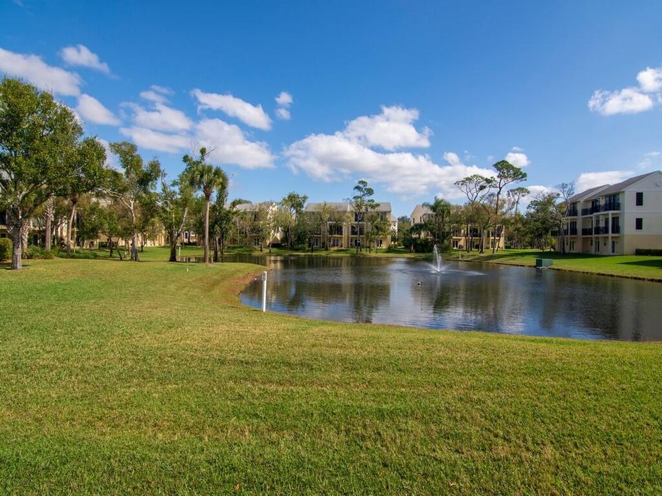 Community Pond