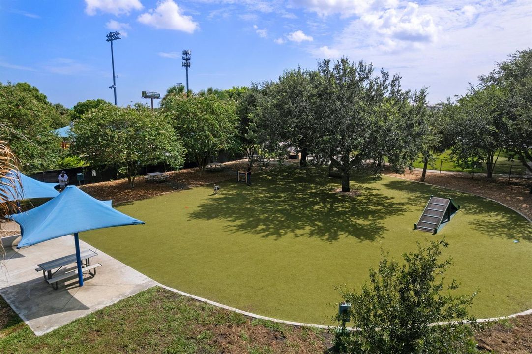 Dog Park