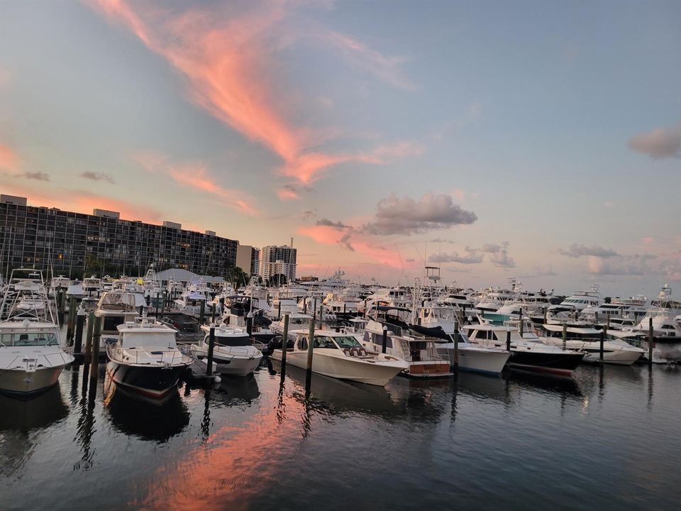 Marina