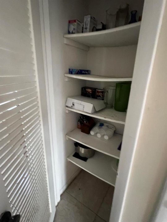 Linen closet/pantry