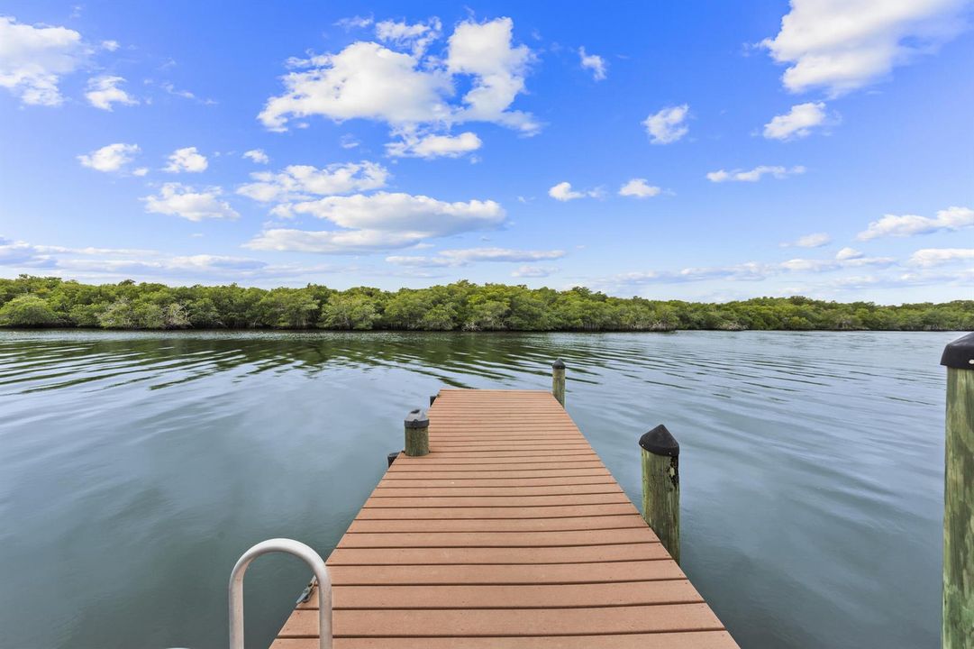 40_south river - dock