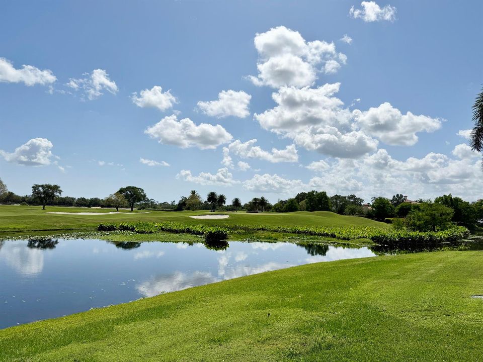 View to 10th Green