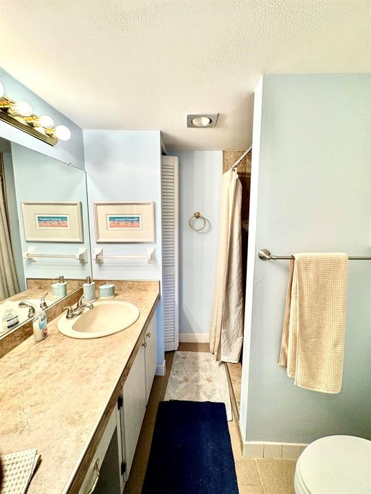 Primary Bath vertical