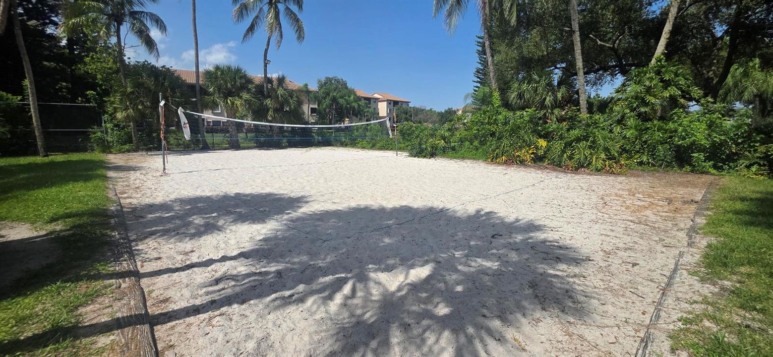 club - volleyball