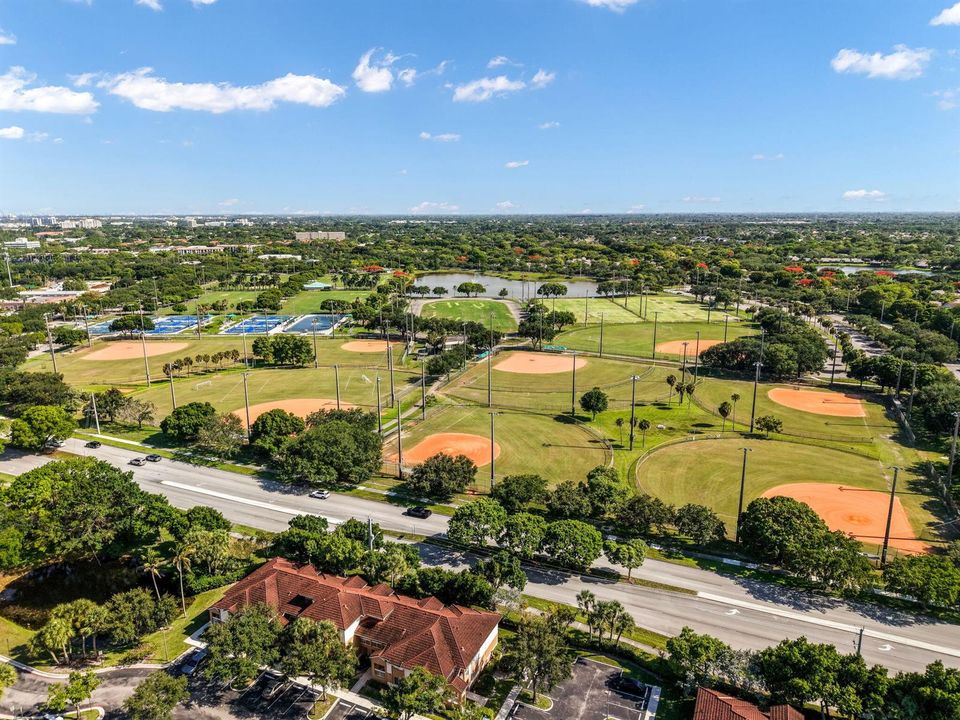 Close to Central Park, Schools ++