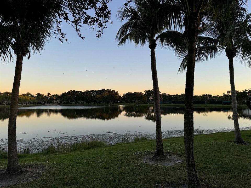sunset walk 1