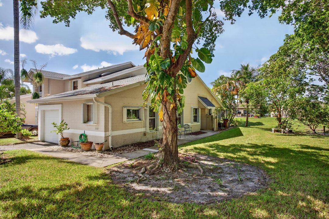 1-web-or-mls-2007-7538