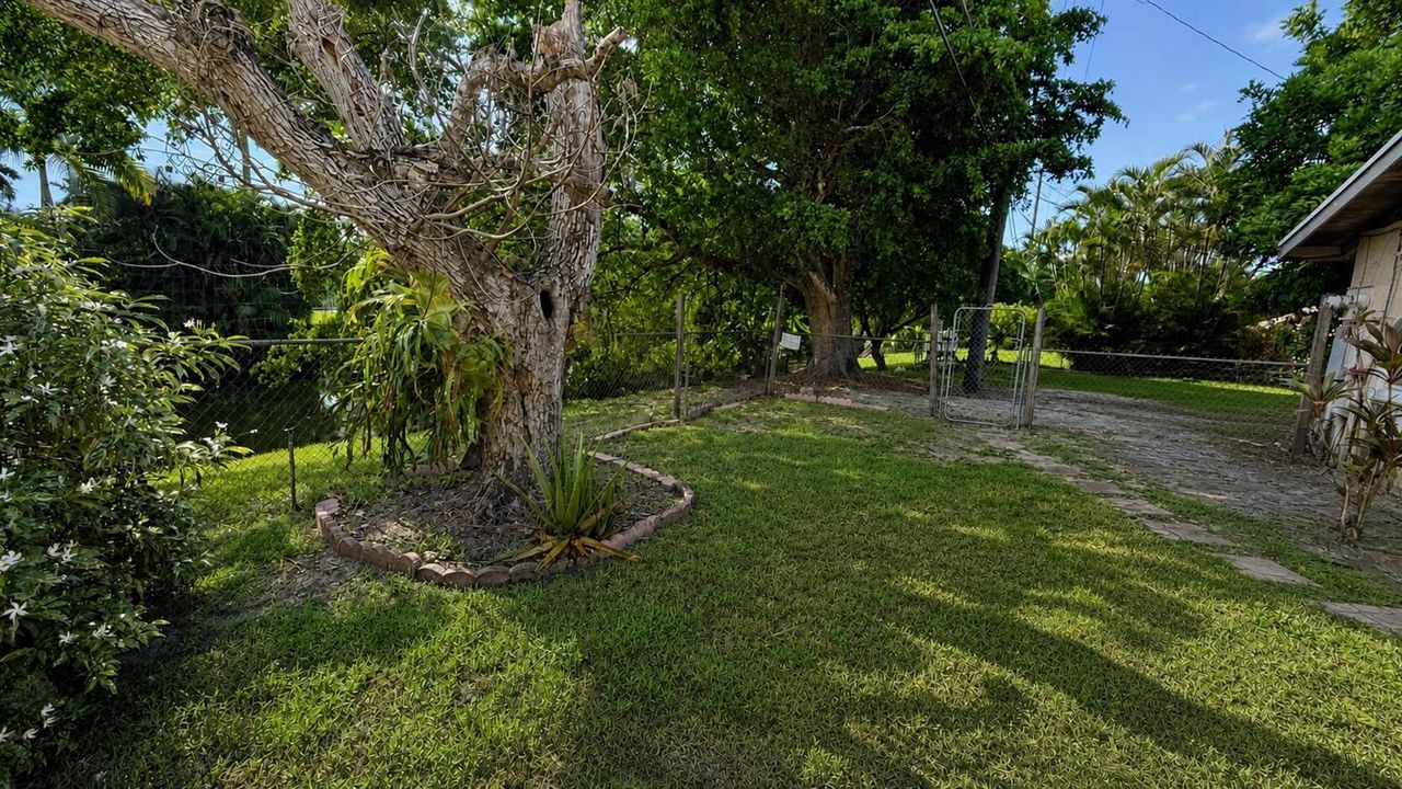 IMG_3918_edited_v2