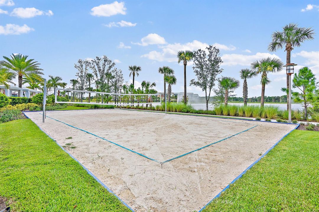 Volleyball Court