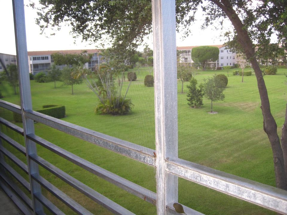 Rear Vieq