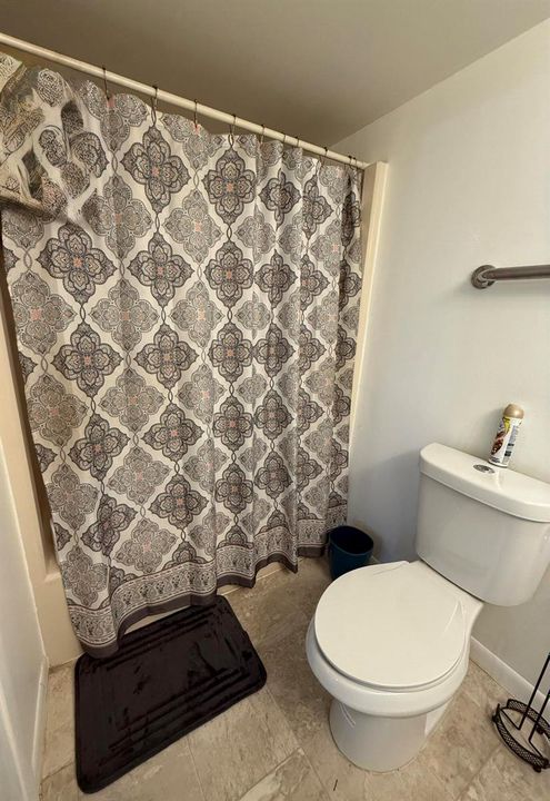 Master Bathroom 1
