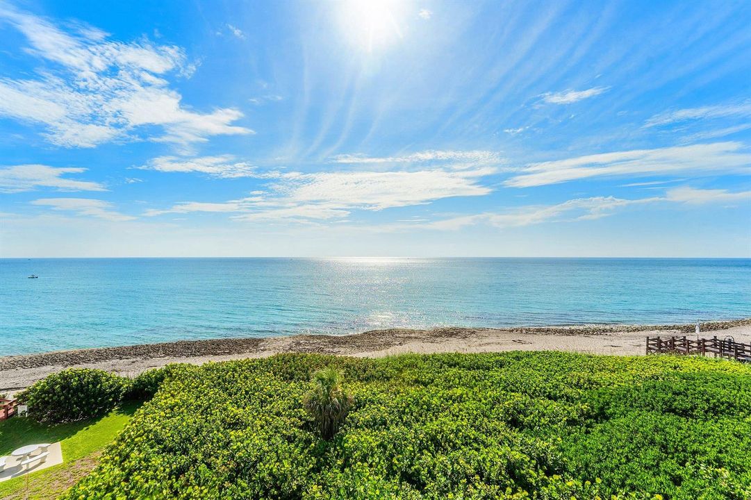 Direct Ocean Views