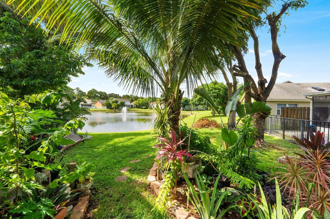 Backyard 6