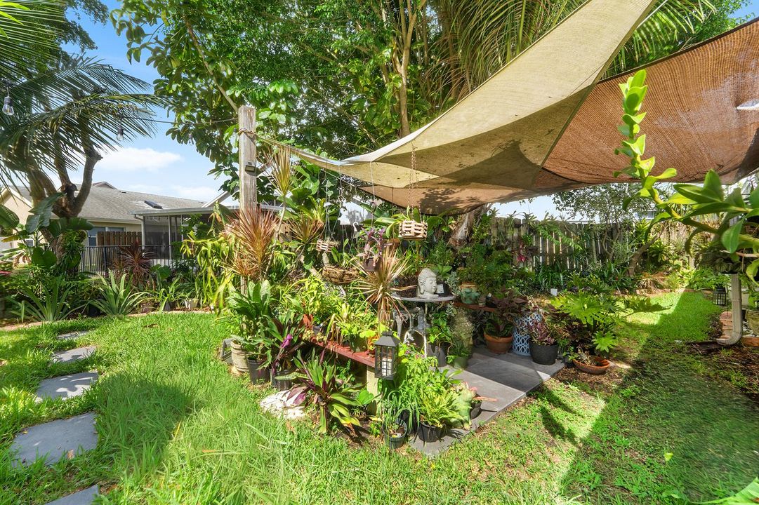 Backyard 4