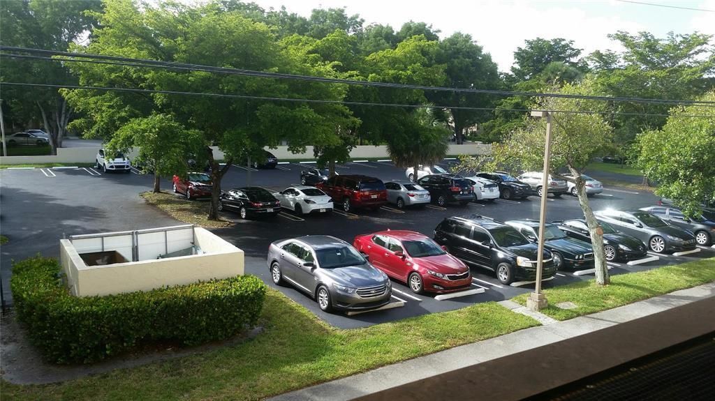 Front and Rear Parking