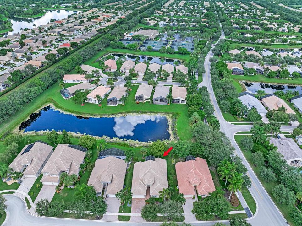 Community view
