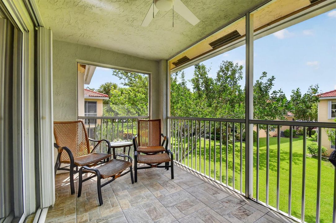 View from Patio