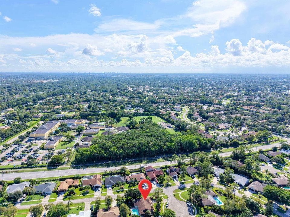 Aerial region