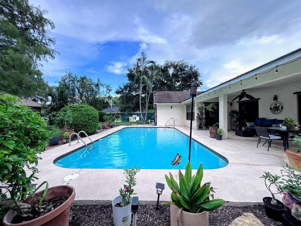 Large pool and outdoor living space