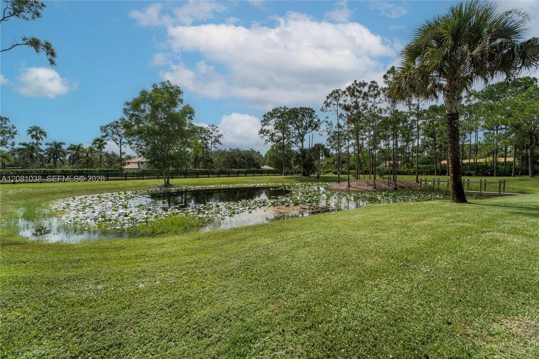 На продажу: $1,175,000 (5.25 acres)