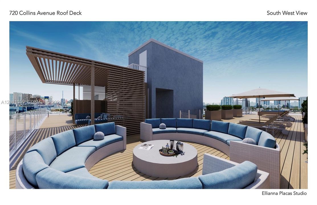 Future Roof Deck Rendering