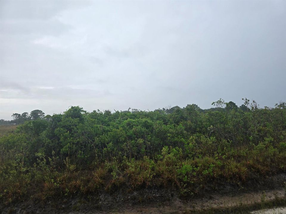 okeechobee 4
