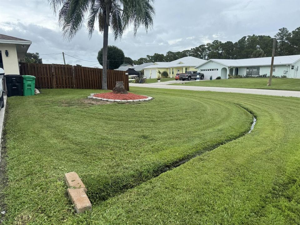 Side Yard