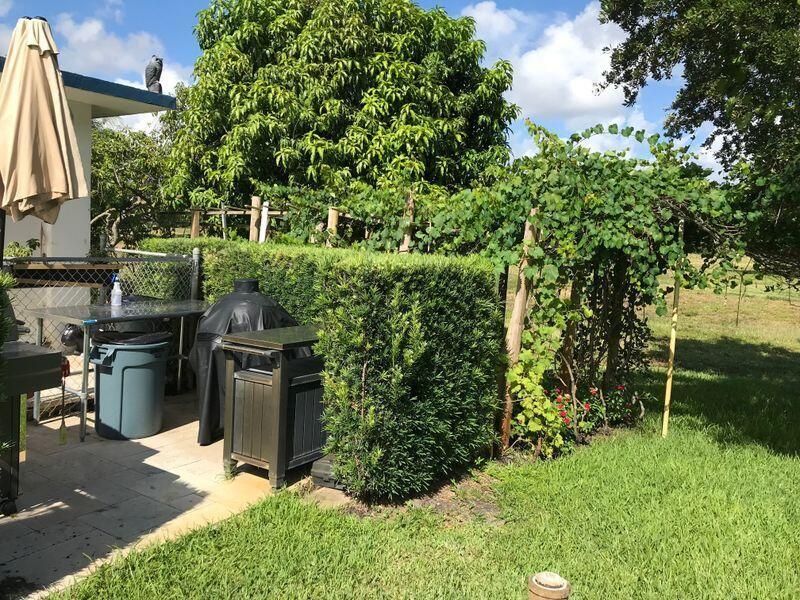Garden Grapes