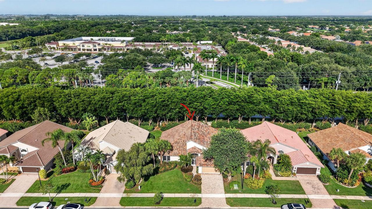 Aerial Shot