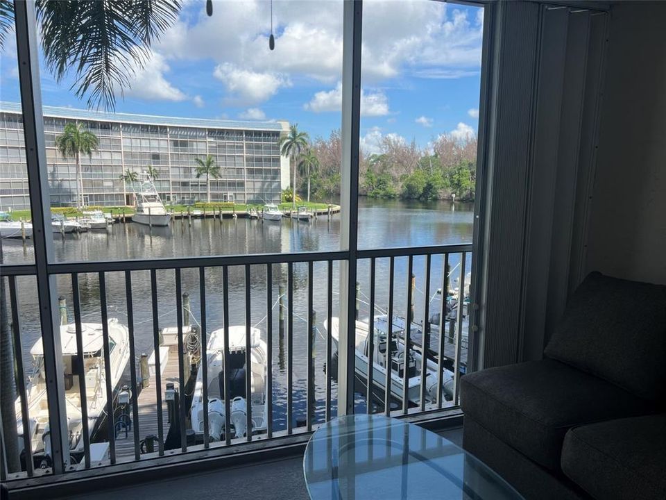 view