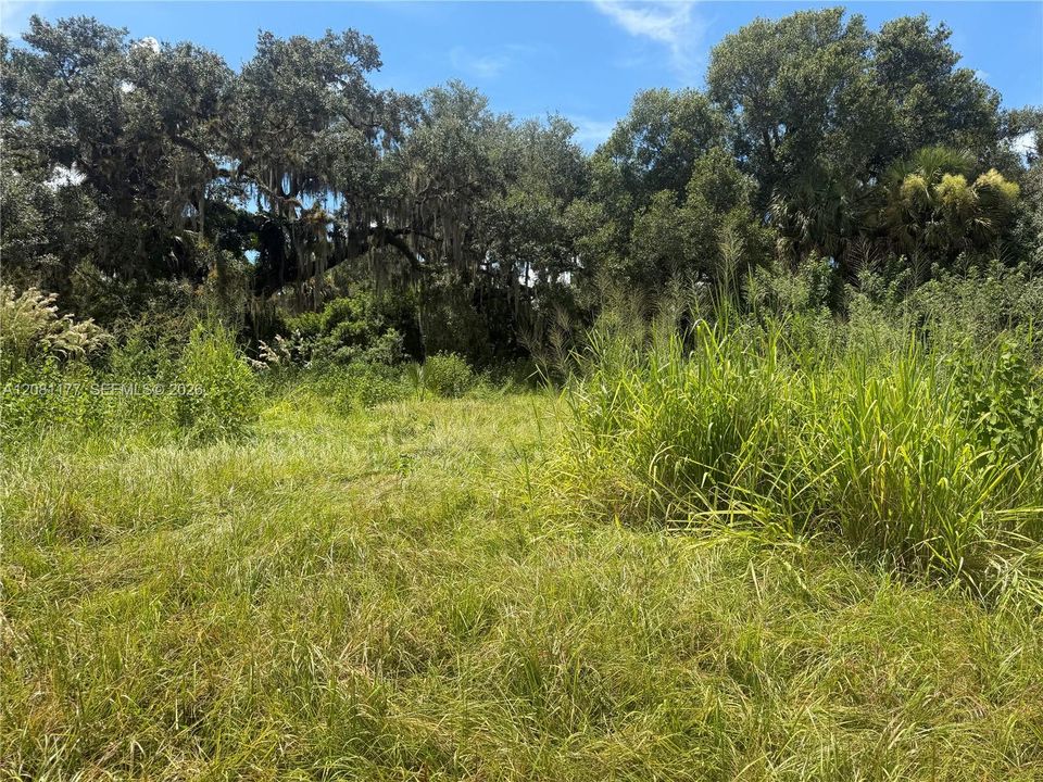 En Venta: $79,900 (1.07 acres)