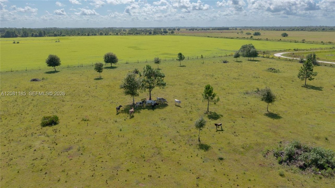 На продажу: $475,000 (25.00 acres)