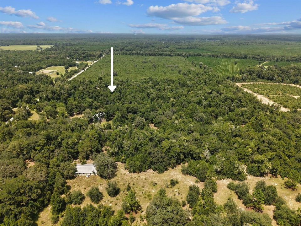 Aerial
