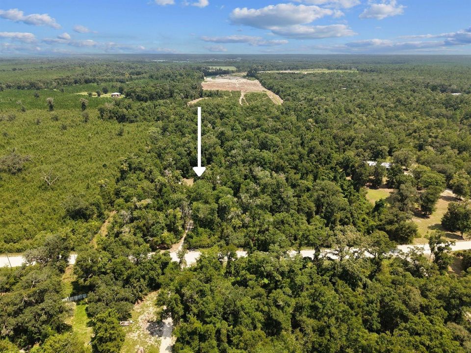 Aerial