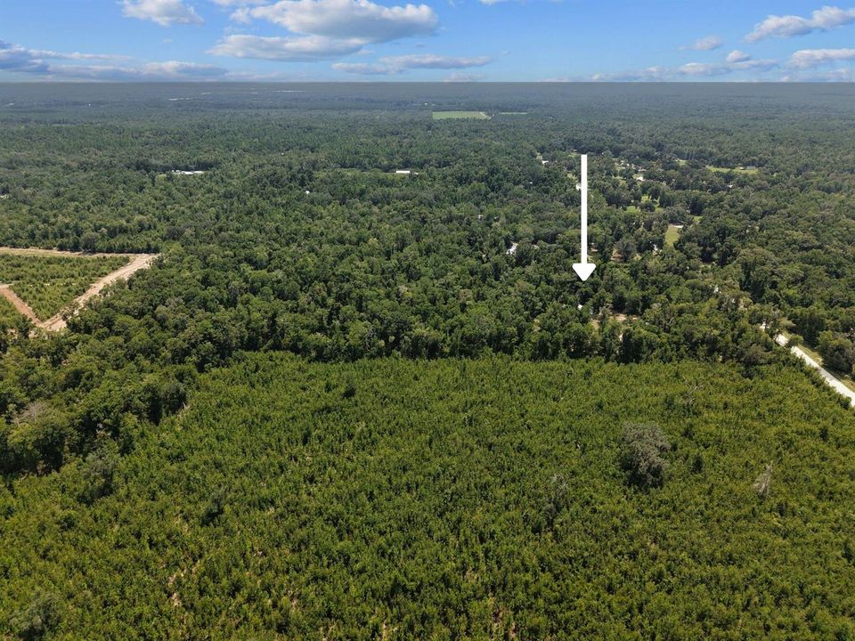 Aerial