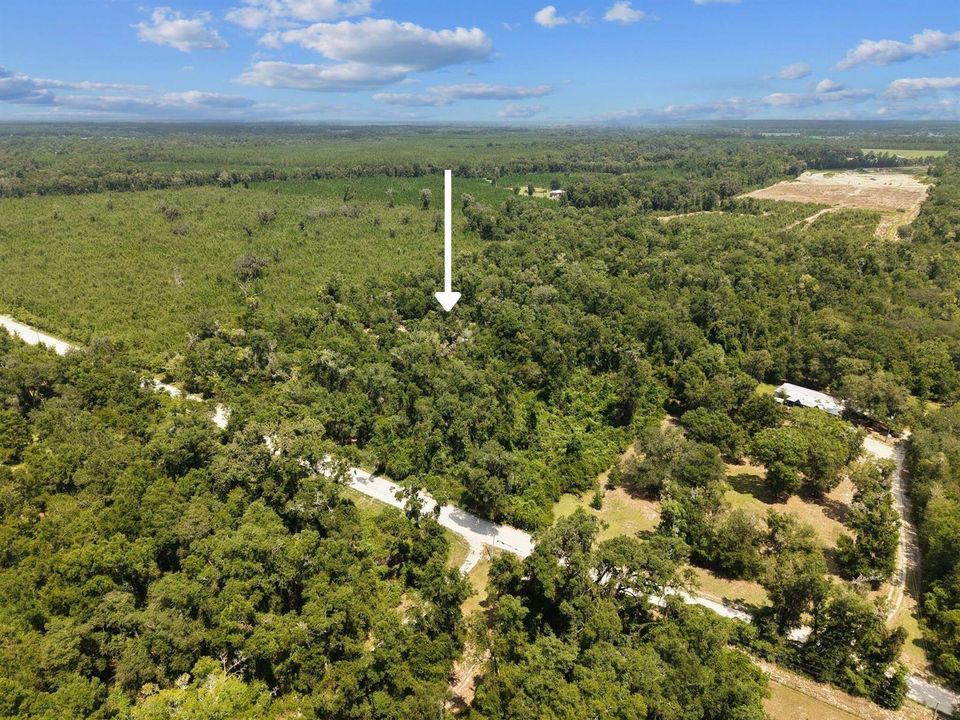 Aerial